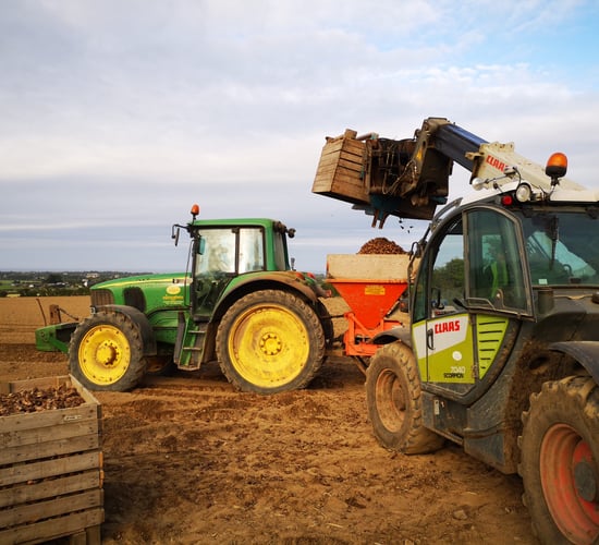 Planning for the autumn planting season
