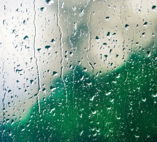 Weekend weather: Mild and unsettled with rain