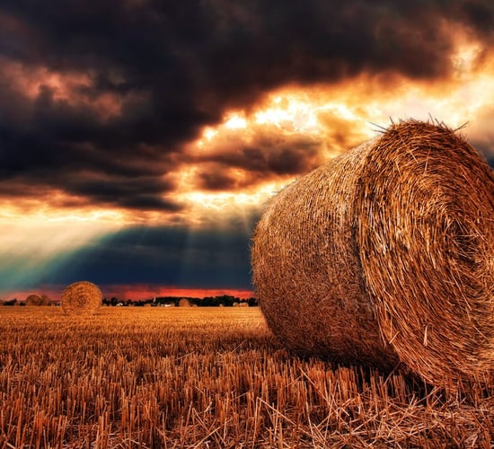 Met Éireann: 2 days of 'moderate drying conditions' ahead