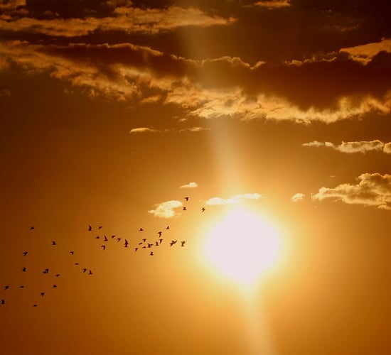 Spring 2025 had highest average temperatures in over 100 years