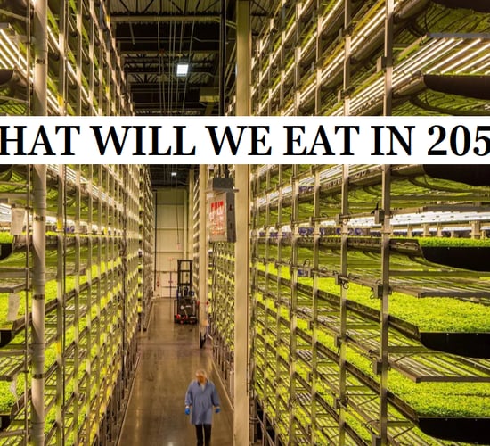 Upcoming film to look at what Ireland will eat in 2050