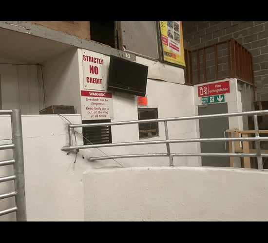 Improved safety features at Clones Mart after heifer incident