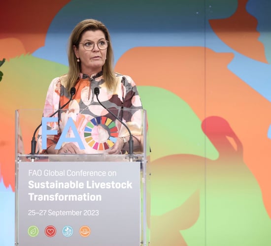 Dutch livestock farming 'too input dependent' - nitrogen minister