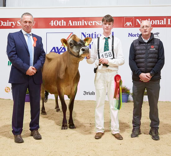 Exhibitors gearing up for National Dairy Show