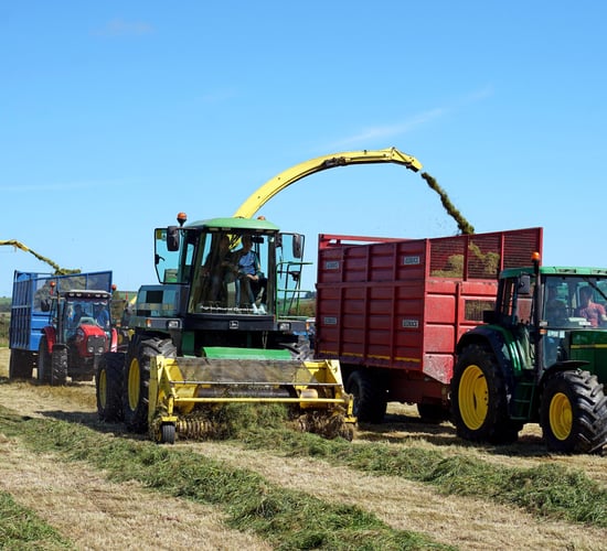 Machinery Focus: Working harvesters at Ahiohill attract big crowds