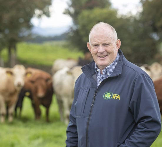 Gorman's IFA presidential campaign kicks off with criticism of environmentalists