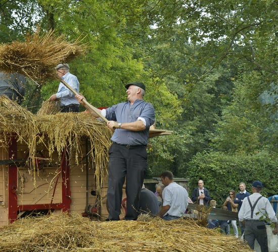 Traditional Harvest Day returns to Bunratty tomorrow