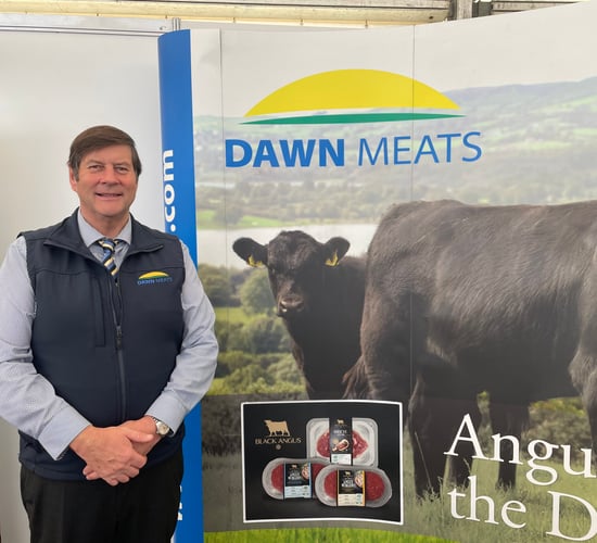 Nolan: 'Promising' signs for beef trade despite difficult year