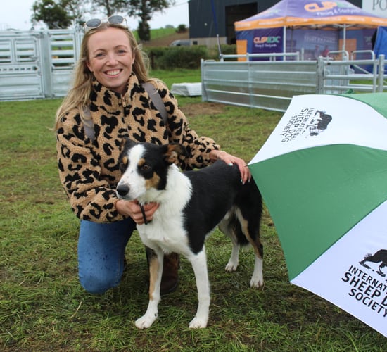 World Sheepdog Trials  underway in Down
