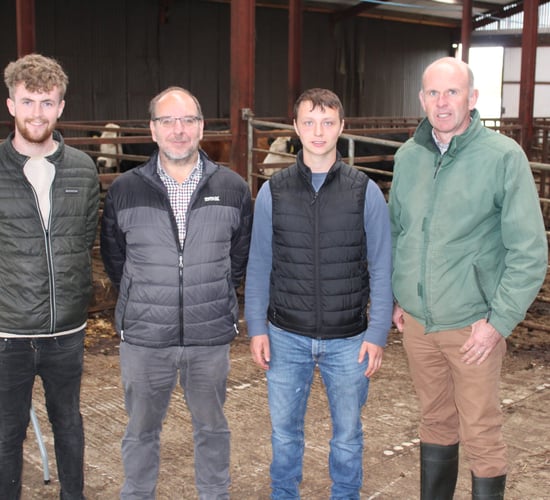 CAFRE dairy survey highlights the main reasons for culling cows