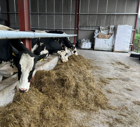 Pedigree production systems on display at IHFA event