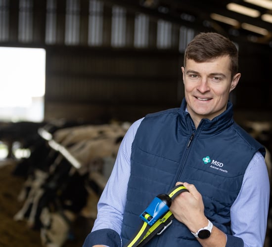 MSD Animal Health appoints new ruminant business unit director