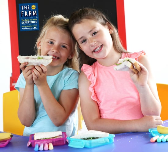 Kildare cooked-meats producer wins €60m Lidl deal
