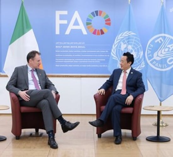 FAO at COP28: 'We have to produce more with less'