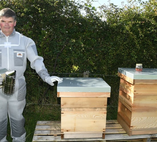 Let it Bee: Protecting water sources in rural Ireland