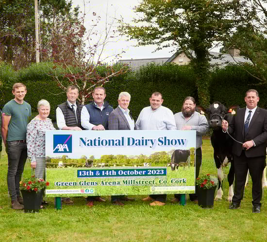 National Dairy Innovation Awards now open for entries
