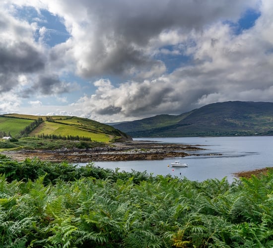 EU Parliament regional development committee begins Irish visit
