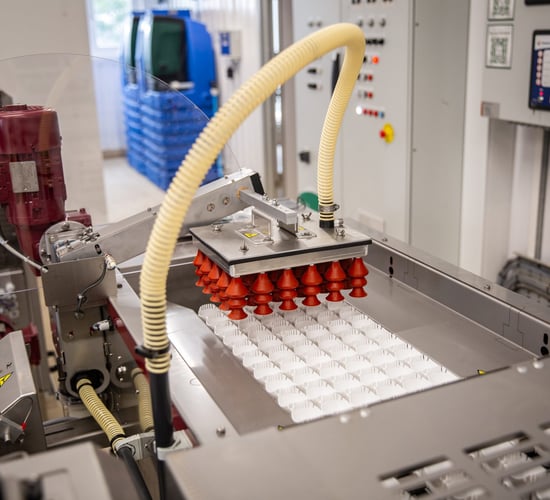 Egg-production tour in the Netherlands opens for applications tomorrow