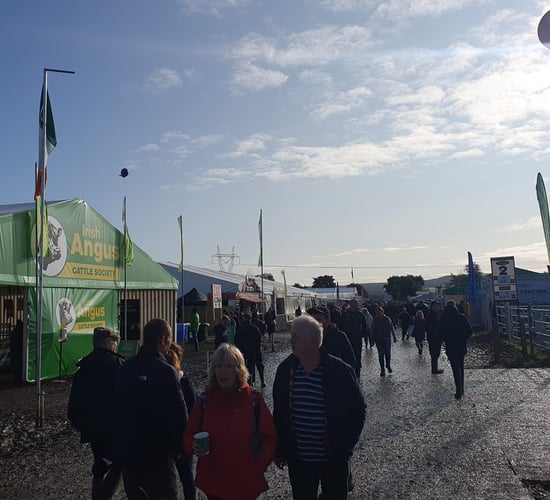 200,550 people attend Ploughing 2023
