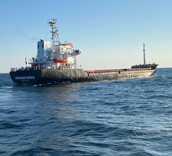 Ukrainian Black Sea port resumes grain exports