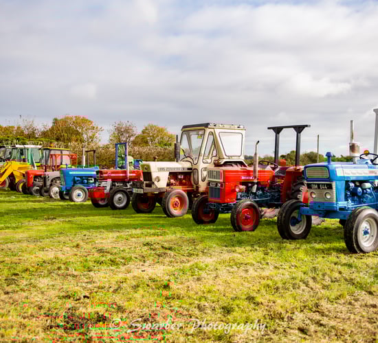 Expanding Glenamaddy Show with ploughing demos and poultry classes