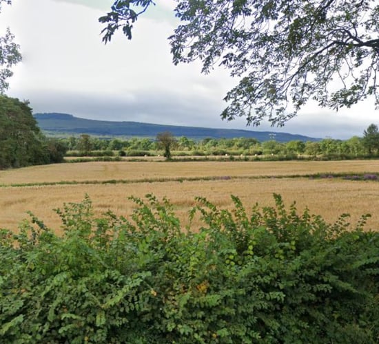 Monitoring and managing risks of grass weeds