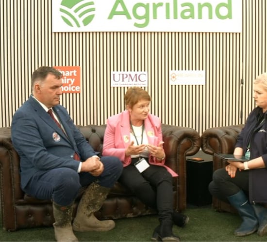 IFA deputy presidential candidates agree on organisation's shortcomings