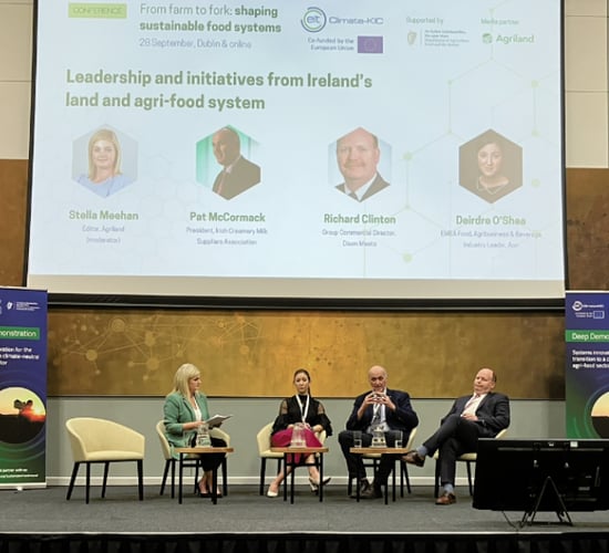 Need to 'accelerate' the rate of sustainable changes - Dawn Meats