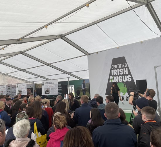 Students receive calves for Angus Schools Competition