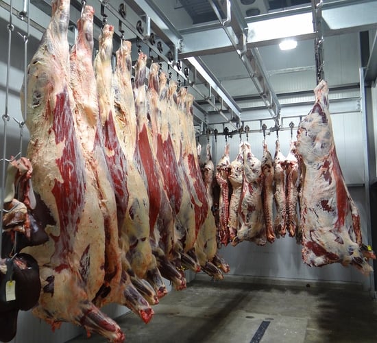 DAFM criticised for promoting beef exports amid biodiversity crisis