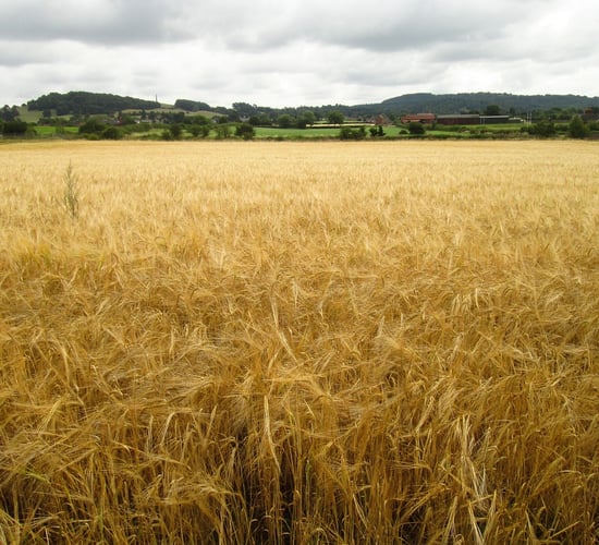 Macra: Nitrates decision will have 'negative effect' on succession