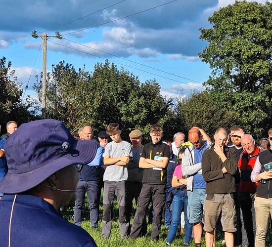 Combining tillage and dairy calf-to-beef system in Cork