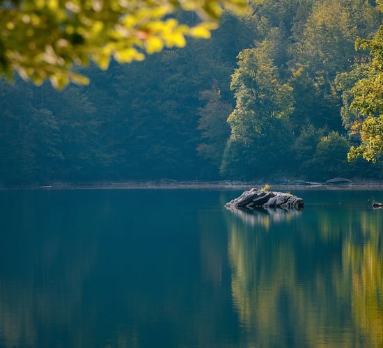 Call for glyphosate ban in EU to protect water quality
