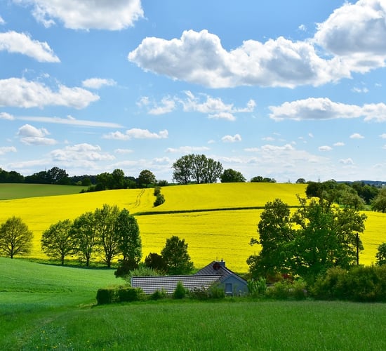 New Taoiseach should 'prioritise' rural housing guidelines - senator