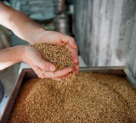 Opinion: Should agri-food regulator sort malting barley price issue