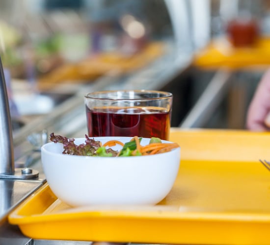 Hundreds of academics call for 100% plant-based meals in colleges