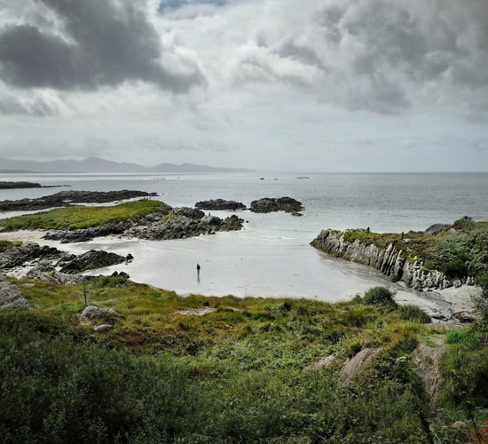 Nature Restoration Law: Where is it currently at?
