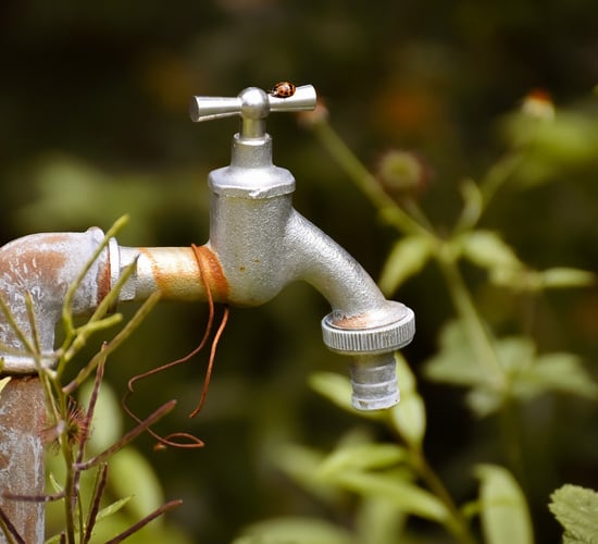 Uisce Éireann confirms arsenic detected in rural Waterford supplies