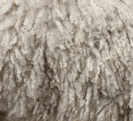 Irish Grown Wool Council appoints new chair