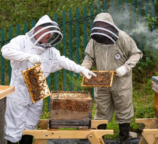 Mayo village reduces pesticide use to improve water quality