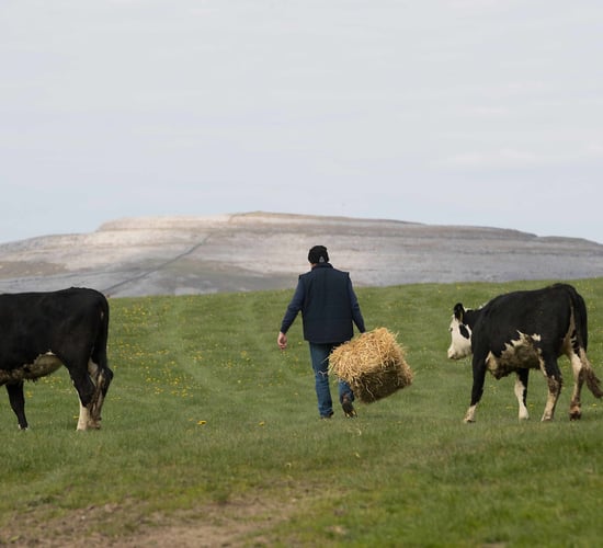 Burren Ecotourism Network to showcase products