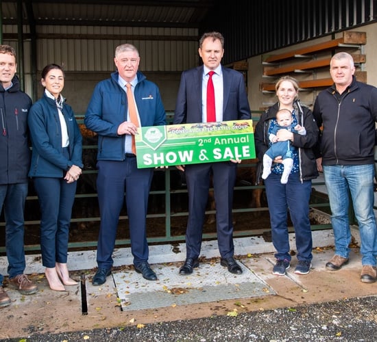 Donegal Dexter show and sale set for November 10