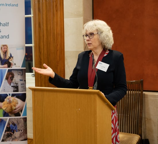 Permanent solution to vet medicines access in NI must be found - BVA