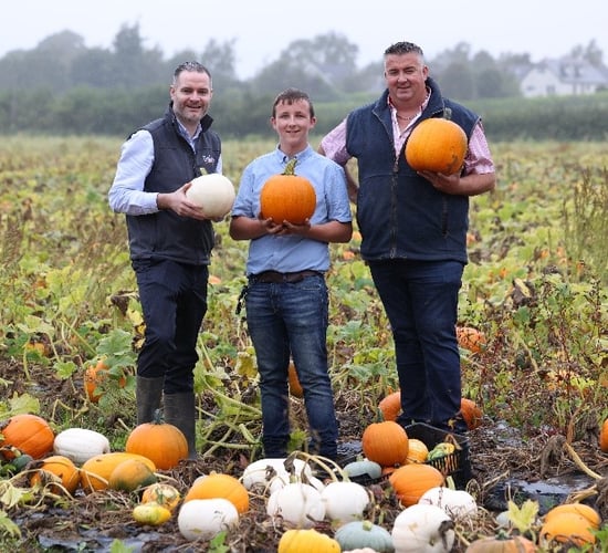 Lidl signs new €1.5m deal with family-run fresh produce firm