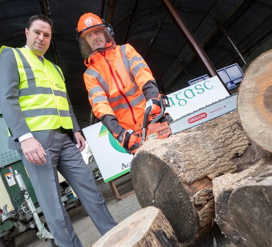 New video launched on chainsaw safety