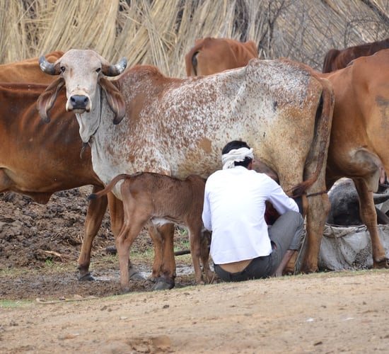 Farmers worldwide and their transition to 'climate-smart agriculture'