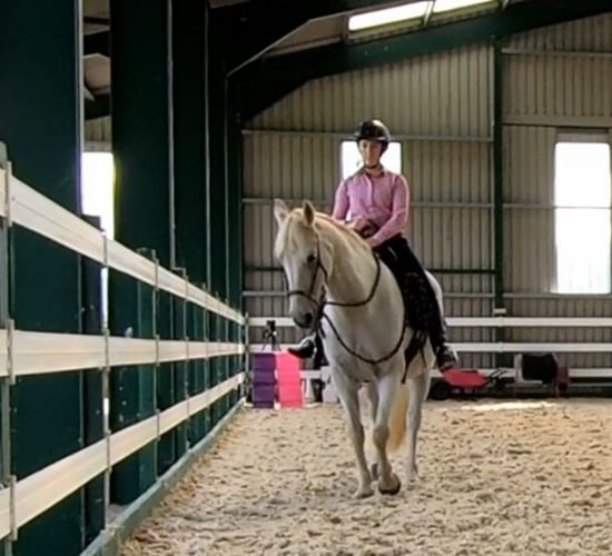 Co. Tipperary author promotes philosophy of listening to horses
