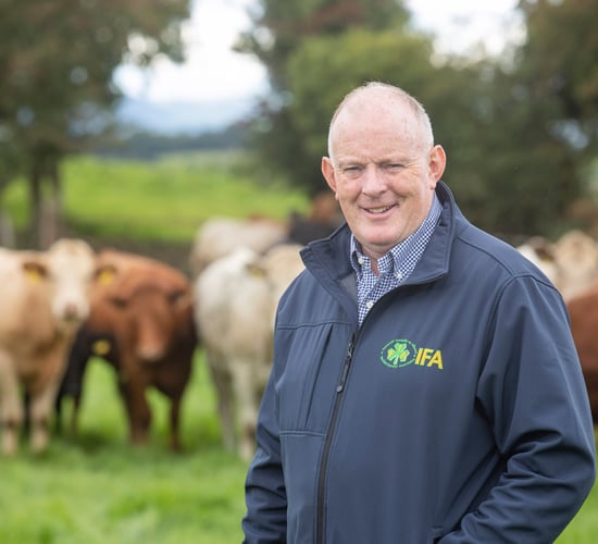 Agriland poll result: 60% say Gorman will be next IFA president