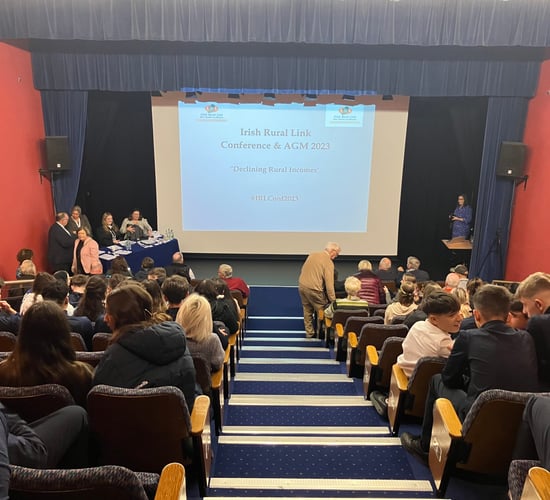 IRL calls for Budget 2024 to address 'income inadequacy' in rural Ireland