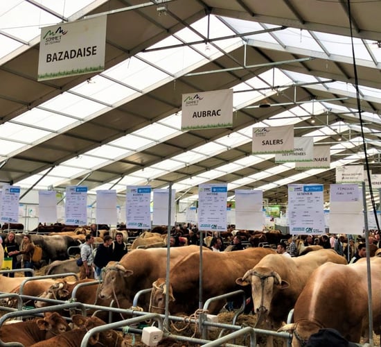 Sommet de l’Élevage agri-show kicks off in France today